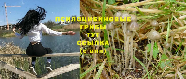 spice Верхний Тагил